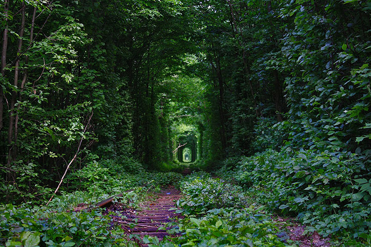 Il Tunnel dellAmore 29 giu 16 4