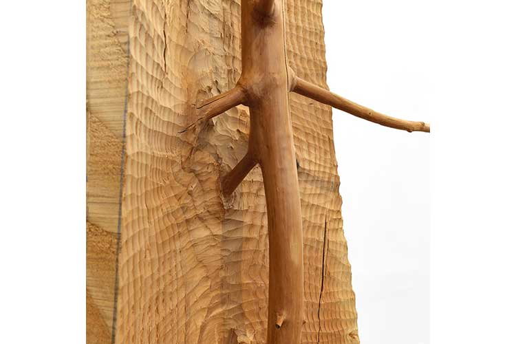 Matrice una mostra di Giuseppe Penone2aprile2017 2